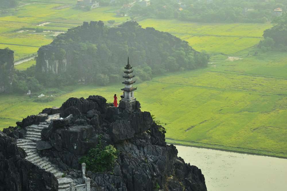 Vue panoramique des rizières depuis la grotte de Mua à Ninh Binh